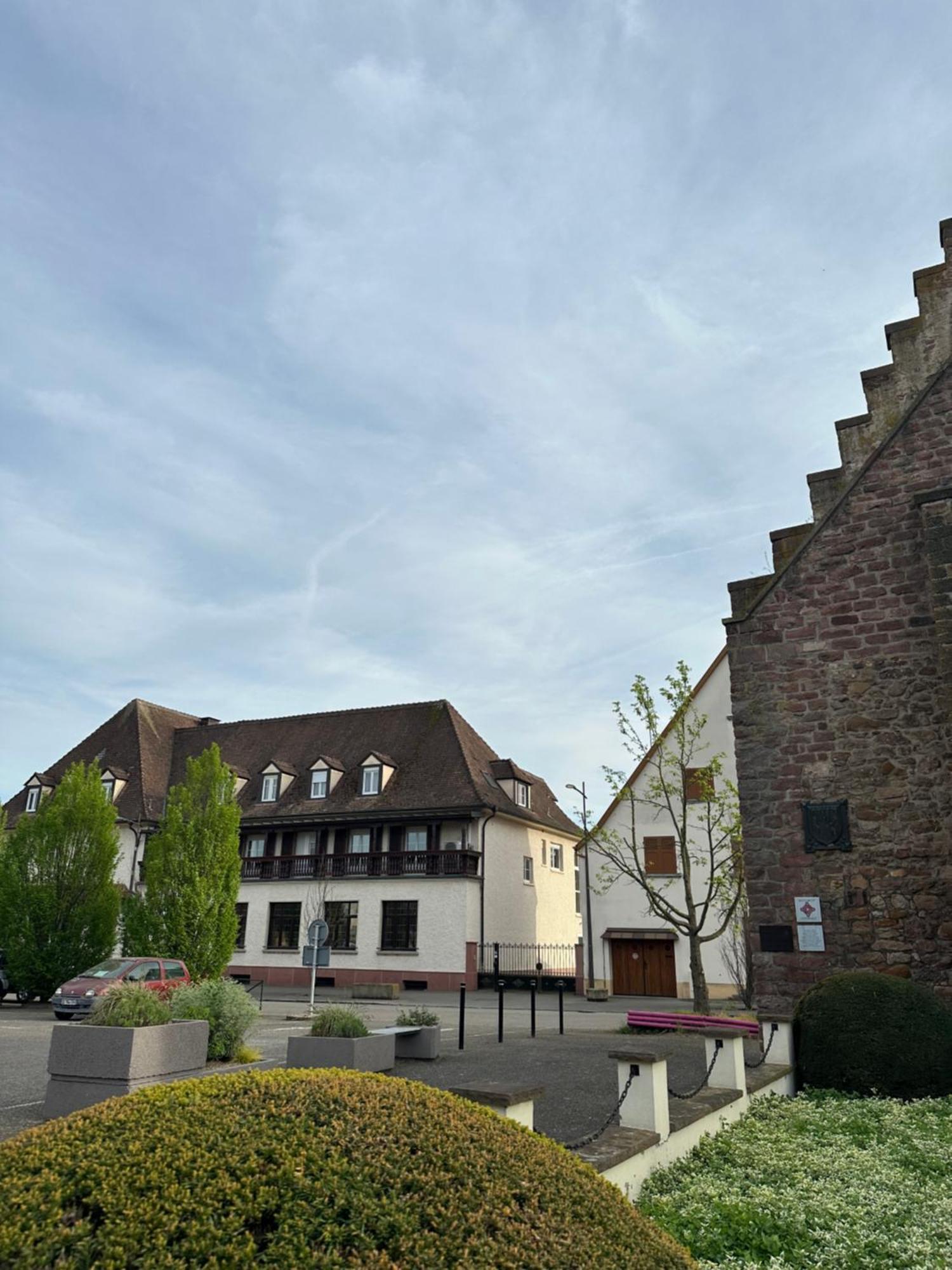 Hotel Au Nid De Cigognes Ostheim Dış mekan fotoğraf