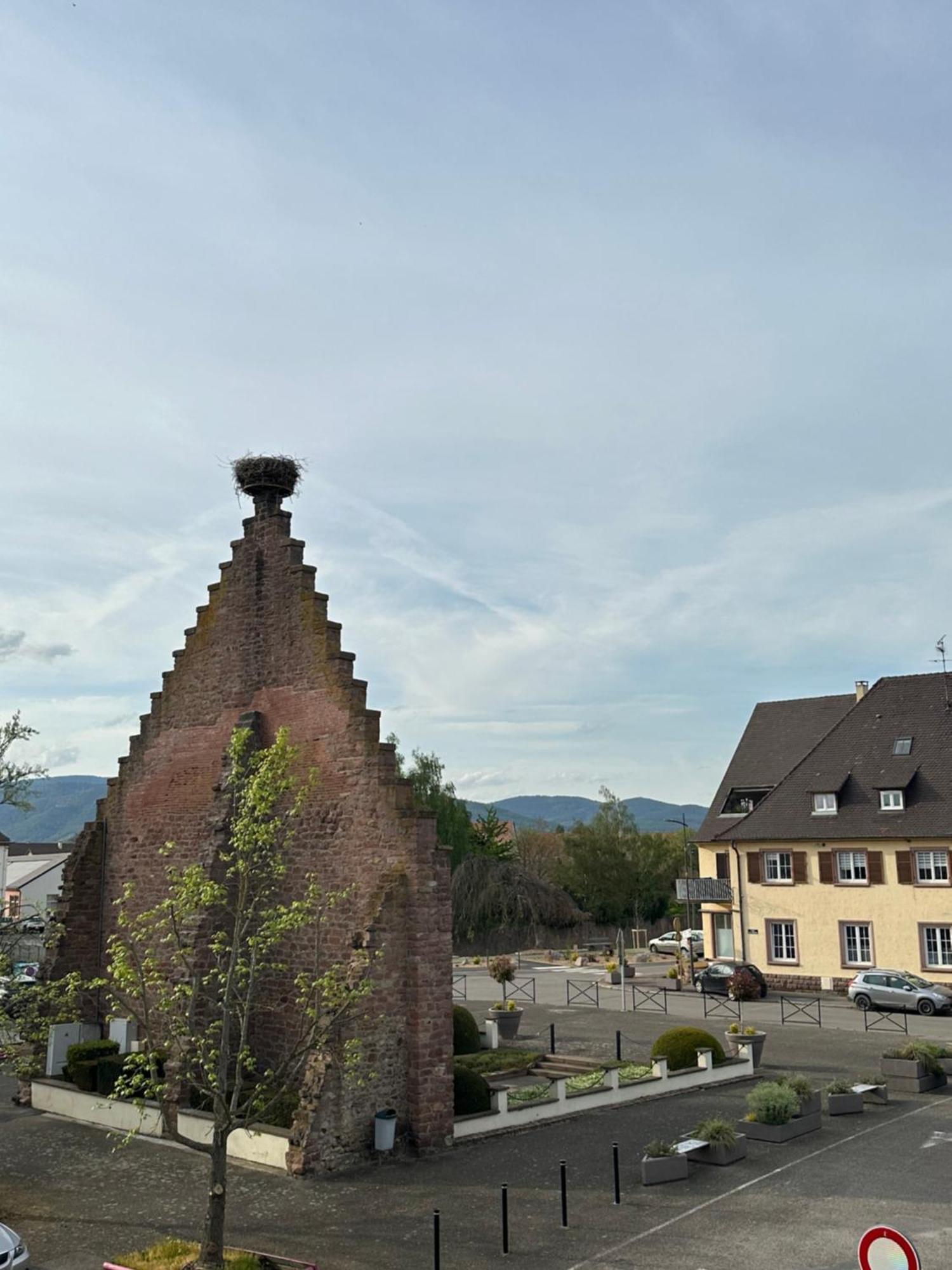 Hotel Au Nid De Cigognes Ostheim Dış mekan fotoğraf