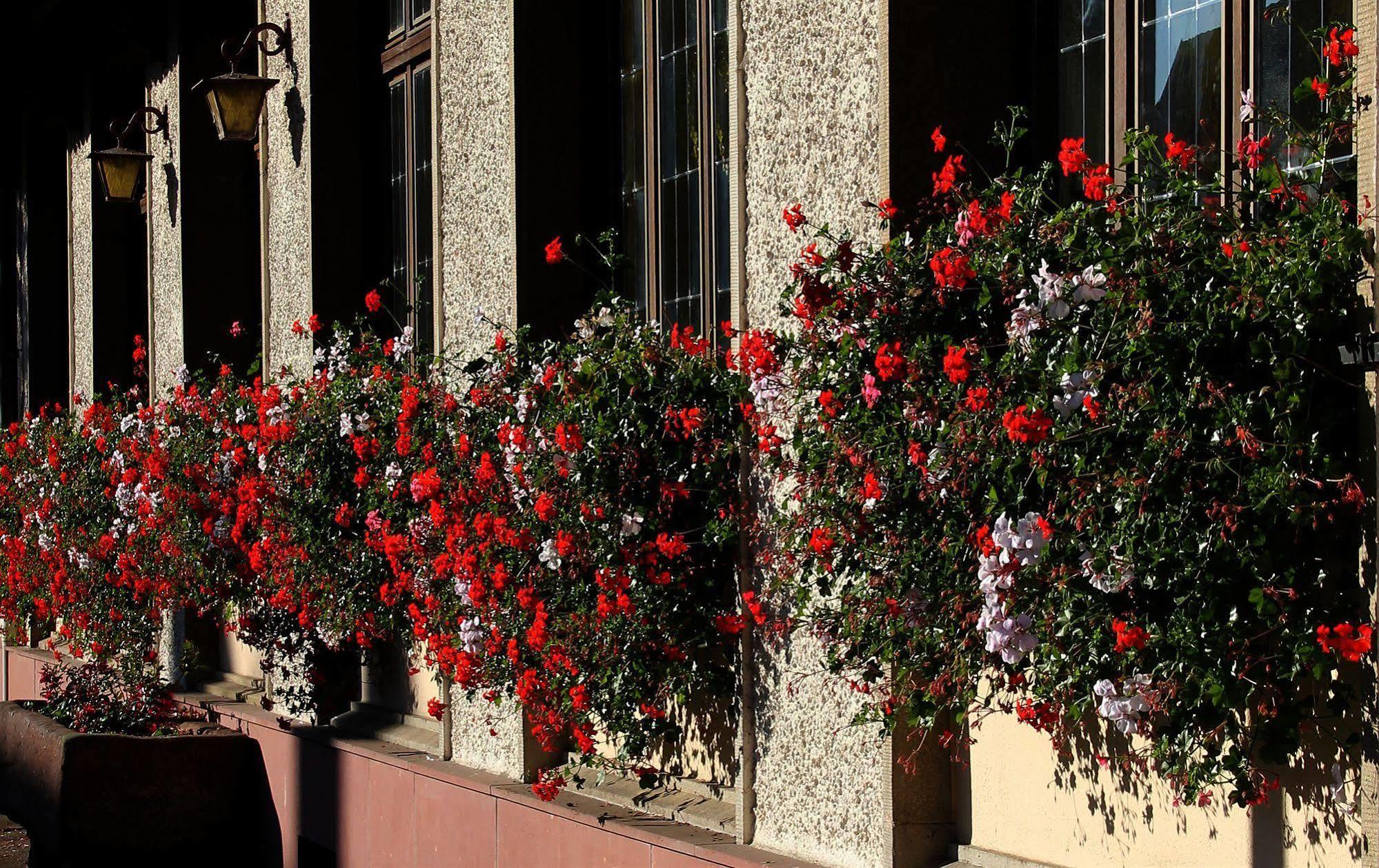 Hotel Au Nid De Cigognes Ostheim Dış mekan fotoğraf